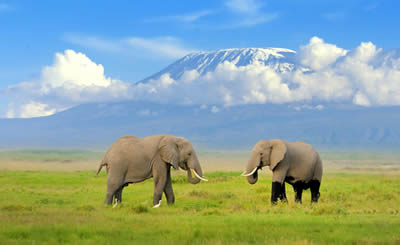 Kenya Adventure Safaris