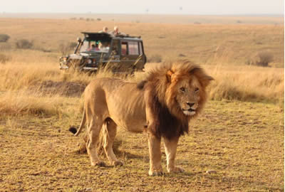 Kenya Adventure Safaris