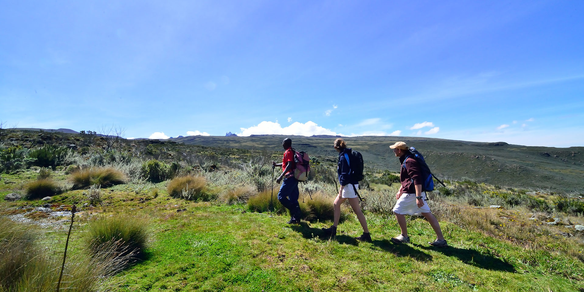 Nature Tracking Adventure