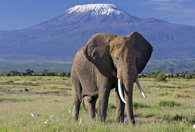 Kenya Adventure Safaris