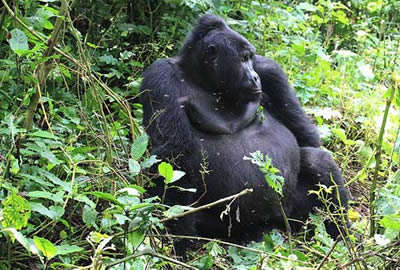 Tanzania Adventure Safari
