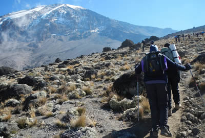 Kilimanjaro Climbing Tours