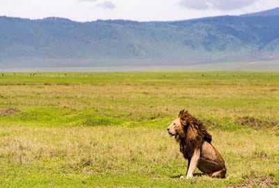 Tanzania Adventure Safari