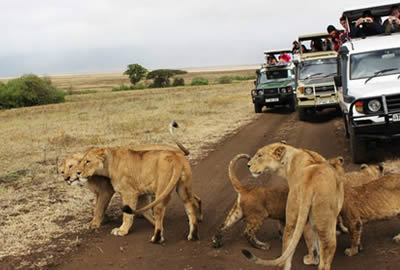 Tanzania Adventure Safari