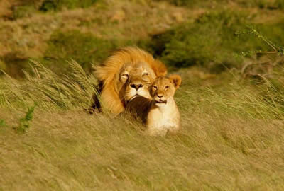 Tanzania Adventure Safari